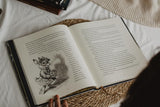 Little Christmas Carol: The Illustrated Edition by Charles Dickens