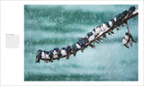 The Bird Book: The Stories, Science, and History of Birds (DK)