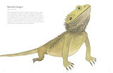The Colorful World of Reptiles by Matt Sewell