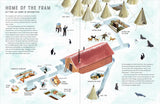 Race to the South Pole: A Two--Sided Story by Alexandra Stewart