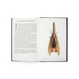 The Wonder of Insects: Uncovering Their Hidden World by Dr. Ross Piper