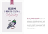 A Pocket Guide to Pigeon Watching: Getting to Know the World's Most Misunderstood Bird by Rosemary Mosco