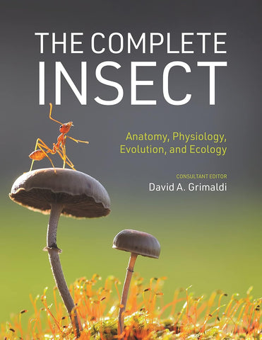 The Complete Insect: Anatomy, Physiology, Evolution, and Ecology by David A. Grimaldi