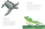 The Colorful World of Reptiles by Matt Sewell