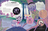 Micro: The Wild Wonders of Microscopic Life (Wild Wonders #4) by Jennifer N. R. Smith