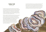 Fungi Lore: The Myths, Folklore and Magic of Mushrooms