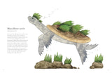 The Colorful World of Reptiles by Matt Sewell