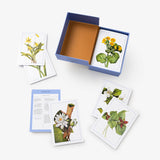 New York Botanical Garden Wildflower Identification Flashcards: 100 Common Wildflowers of North America (New York Botanical Garden)