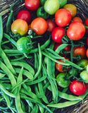Creating a Modern Homestead: Traditional Skills for Real, Everyday Life by Victoria Pruett
