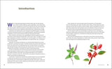 Tea Gardening for Beginners by Julia Dimakos