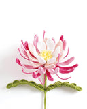Crochet a Flower Bouquet: 35 Crochet Patterns for Handmade Flowers and Foliage by Li Li