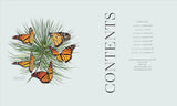 Insects: Discover the Science and Secrets Behind the World of Insects by DK