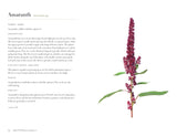 Edible Wild Plants for Beginners: The Essential Edible Plants and Recipes to Get Started