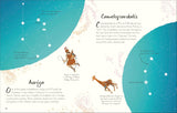 An Anthology of Stargazing:A Collection of Stars and Constellations (DK Little Anthologies)
