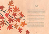 Tree Lore: The Myths, Folklore and Meaning of Trees by Sally Coulthard