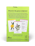 A Cabinet Full of Medicinal Plants: A Practical Card Deck (Kew Experts)