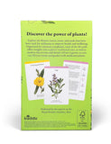 A Cabinet Full of Medicinal Plants: A Practical Card Deck (Kew Experts)