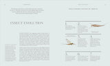 Insects: Discover the Science and Secrets Behind the World of Insects by DK