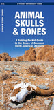 Animal Skulls & Bones: A Folding Pocket Guide to the Bones of Common N.A. Animals