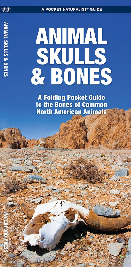 Animal Skulls & Bones: A Folding Pocket Guide to the Bones of Common N.A. Animals