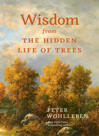 Wisdom from the Hidden Life of Trees (Inspired by the International Bestseller) by Peter Wohlleben