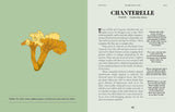 Mushrooms: A Guide for the Curious by Susan A. Clark