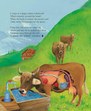 A Drop Around the World by Barbara Shaw McKinney