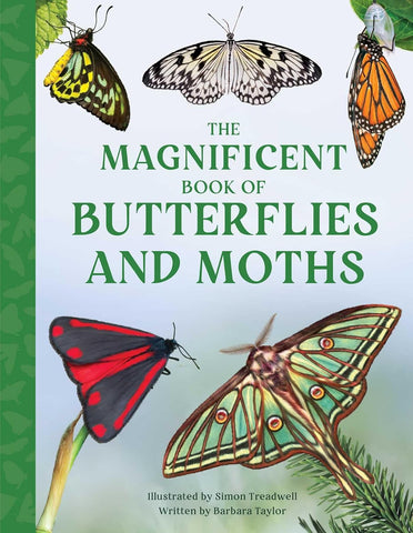 The Magnificent Book of Butterflies and Moths (Magnificent Book of) by Barbara Taylor