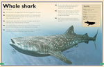 The Magnificent Book of Sharks