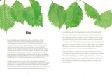 Tree Lore: The Myths, Folklore and Meaning of Trees by Sally Coulthard