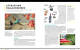 National Geographic Birding Basics: Tips, Tools, and Techniques for Great Bird-Watching by Noah Strycker