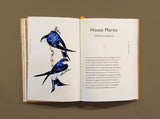 The Book of Birds: A Field Guide to Wonder and Loss by Robert MacFarlane & Jackie Morris