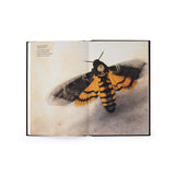The Wonder of Insects: Uncovering Their Hidden World by Dr. Ross Piper