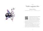 A Year of Garden Bees & Bugs: 52 Stories of Intriguing Insects by Dominic Couzens & Gail Ashton