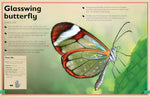 The Magnificent Book of Butterflies and Moths (Magnificent Book of) by Barbara Taylor