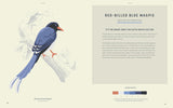 Coloready Birds: 20 Modern Paint-By-Number Prints by David Trawin and A. K. Roxas