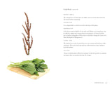 Edible Wild Plants for Beginners: The Essential Edible Plants and Recipes to Get Started