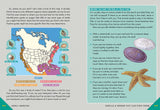 Outdoor School: Rock, Fossil, and Shell Hunting: The Definitive Interactive Nature Guide by Jennifer Swanson