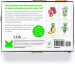 Gardener's Match: A Fruit and Vegetable Memory Game by Abigail Willis