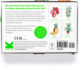Gardener's Match: A Fruit and Vegetable Memory Game by Abigail Willis