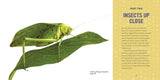 Insects for Kids: A Junior Scientist's Guide to Bees, Butterflies, and Other Flying Insects (Junior Scientists) by Sharman Johnston, EdD.