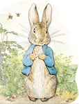 Peter Rabbit Board Book