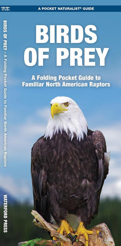 Birds of Prey: A Folding Pocket Guide to Familiar N.A. Species