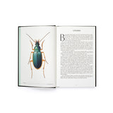 The Wonder of Insects: Uncovering Their Hidden World by Dr. Ross Piper