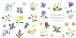 The Little Guide to Wildflowers (Little Guides) by Alison Davies