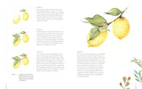 Watercolor Made Simple Workbook