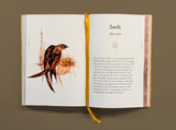 The Book of Birds: A Field Guide to Wonder and Loss by Robert MacFarlane & Jackie Morris