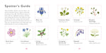The Little Guide to Wildflowers (Little Guides) by Alison Davies