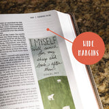 NIV, Beautiful Word Bible, Updated Edition, Peel/Stick Bible Tabs, Leathersoft, Brown/Pink, Red Letter, Comfort Print: 600+ Full-Color Illustrated Verses