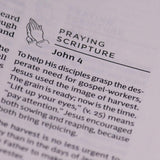 The Prayer Bible: Pray God's Word Cover to Cover (NKJV, Brown Leathersoft, Red Letter, Comfort Print)